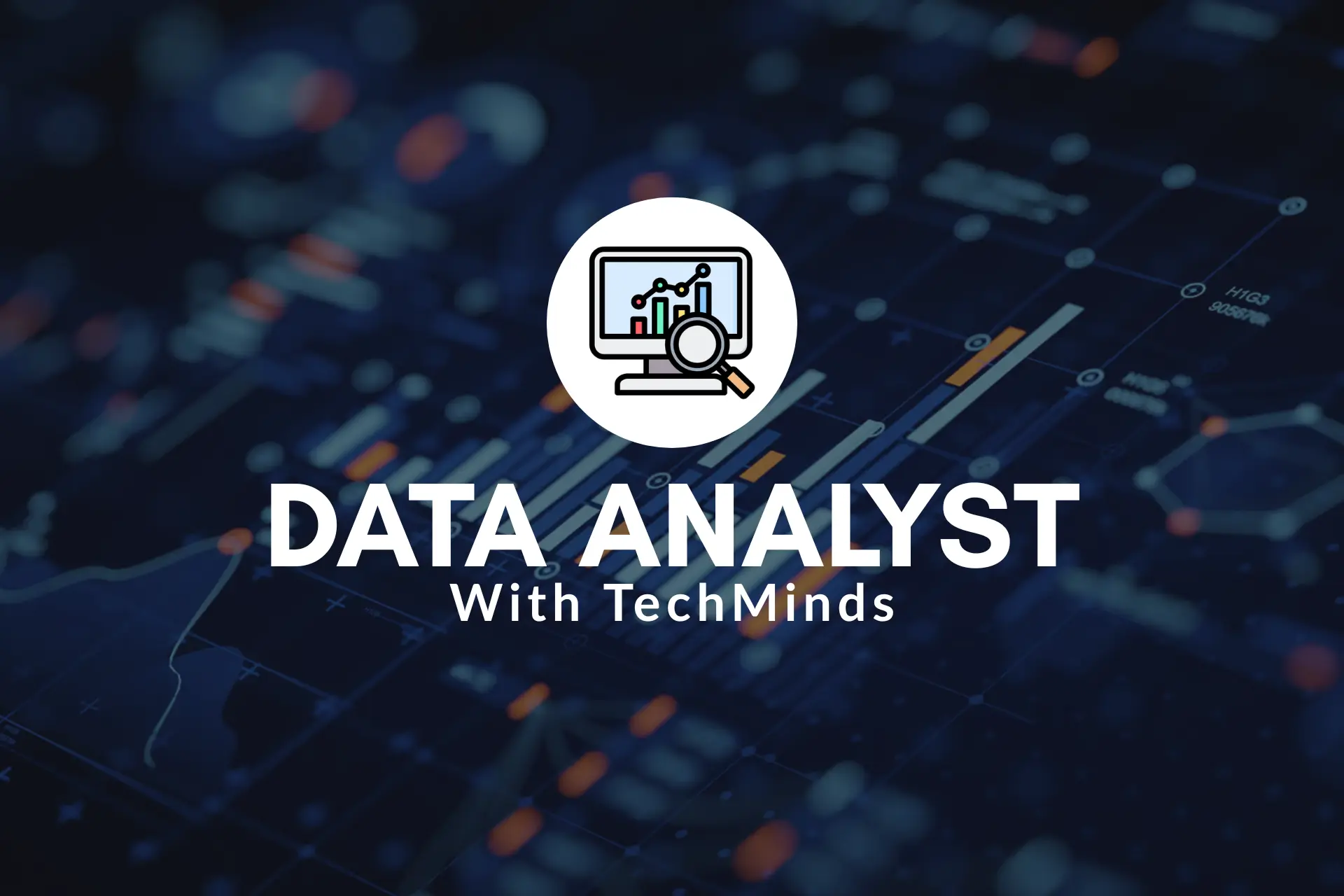 Data Analyst